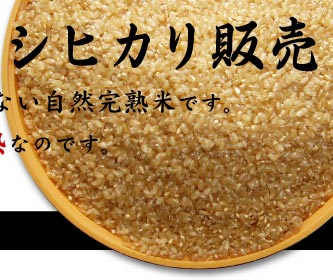 会津産コシヒカリの販売 玄米img